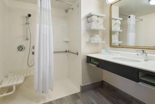 坦帕坦帕机场阿维昂公园西岸欢朋酒店的带淋浴、盥洗盆和镜子的浴室