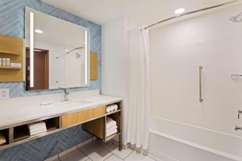 霍姆斯泰德Hilton Garden Inn Homestead, Fl的一间带水槽和淋浴的浴室