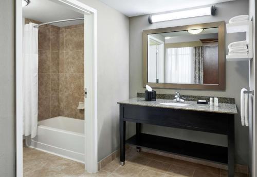 芒特普罗佩特芒特普罗佩特汉普顿套房酒店的一间带水槽、浴缸和镜子的浴室