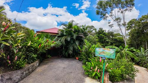 福尔图纳Bungalows Las Iguanas Arenal Volcano的通往花园内房屋的车道