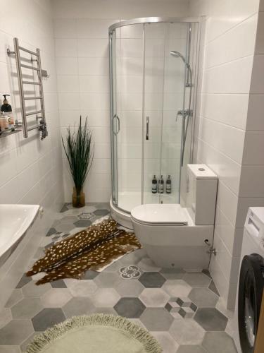 里加Apartment Upeņu的带淋浴、卫生间和盥洗盆的浴室