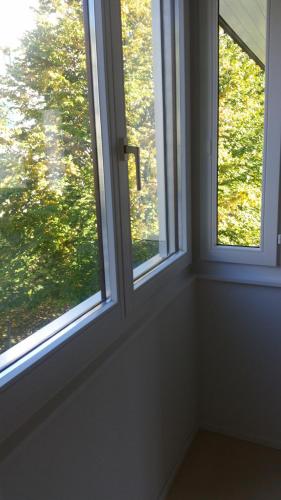 苏黎世客房民宿的两扇窗户,享有树林美景