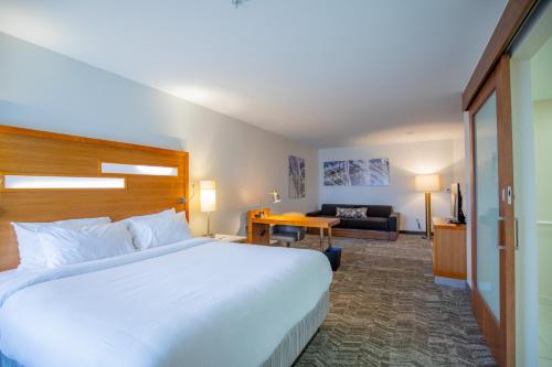 冈萨雷斯巴吞鲁日冈萨雷斯春季山丘套房酒店的酒店客房设有一张大床和一间客厅。