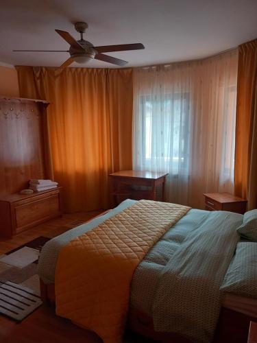 Statjunea BorsaCasa Roman的一间卧室配有一张床和吊扇