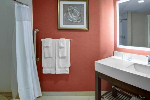 圣克劳德圣克劳德万怡酒店的浴室设有白色水槽和镜子