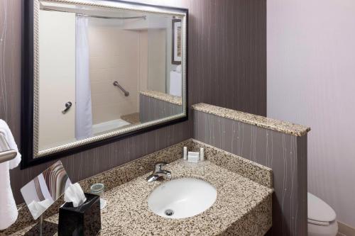 萨福克萨福克切萨皮克庭院酒店的一间带水槽、镜子和卫生间的浴室