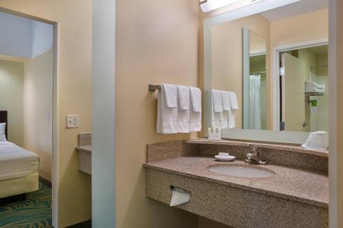 克利尔沃特圣彼得堡清水春山套房酒店的一间带水槽和镜子的浴室
