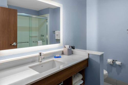 LeanderHoliday Inn Express & Suites Leander, an IHG Hotel的一间带水槽和镜子的浴室