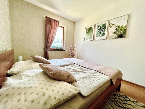比斯特拉Bystrá Apartment的一间卧室设有两张床和窗户。