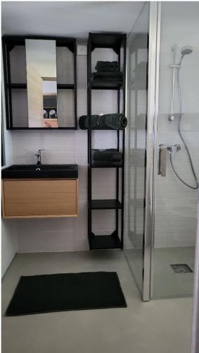 旺德夫尔莱南锡Le Tourtel的浴室配有盥洗盆和带镜子的淋浴