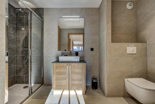 夏蒙尼-勃朗峰Residence Le Green的一间带水槽、淋浴和卫生间的浴室