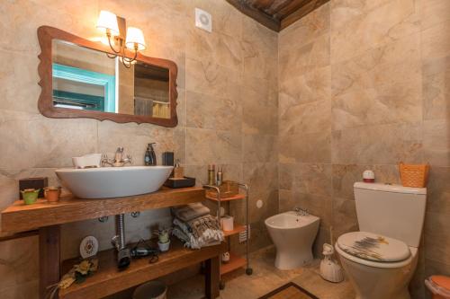 阿加尼尔Casa da Avó Emília的一间带水槽、卫生间和镜子的浴室