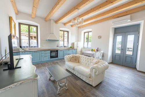 斯楚雅Amalija Apartments的带沙发的客厅和带蓝色橱柜的厨房。