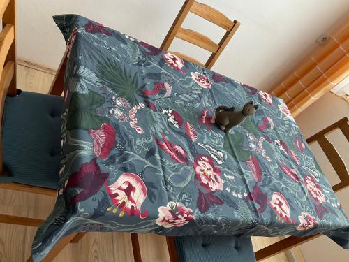 拉德博伊尔Ferienwohnung Mitko的椅子上的枕头,上面有鸟儿