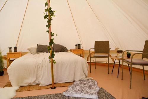 OdensjöGlamping Bolmen, Seaview, free canoe的帐篷内一间卧室,配有一张床