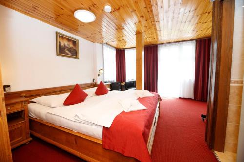 什平德莱鲁夫姆林耶利内克酒店的一张位于红地毯间的床位