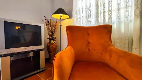 丰沙尔Casa Gina, with views to Funchal Bay的客厅里一张橙色的沙发,配有电视