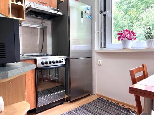 特拉凯Comfy classic apartment in Trakai的厨房配有炉灶和冰箱。