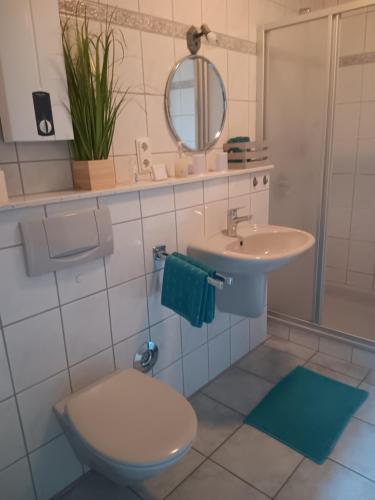 特里尔Ferienwohnung Mattheiser Weiher的一间带卫生间、水槽和镜子的浴室