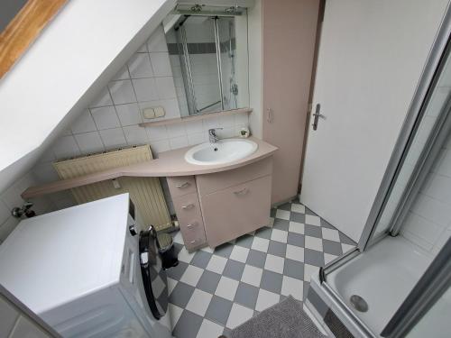 Flataid Apartments Gössendorf/Magna的一间带水槽和镜子的小浴室