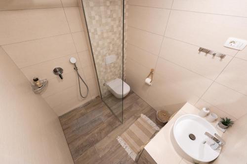 斯楚雅Amalija Apartments的带淋浴、卫生间和盥洗盆的浴室