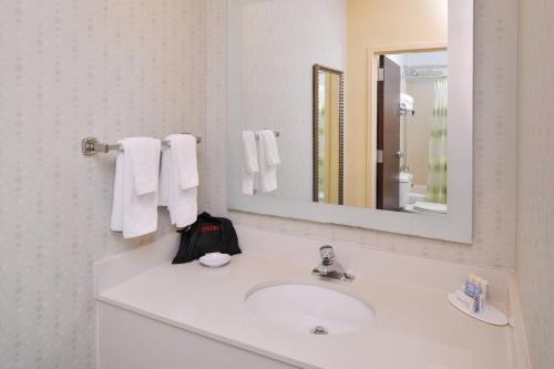 派恩赫斯特派胡斯特松林南万豪春季山丘酒店的白色的浴室设有水槽和镜子