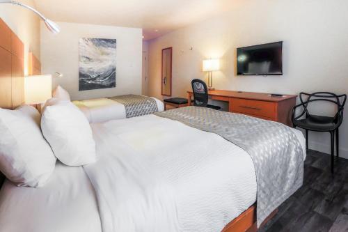 圣安娜德蒙锡耶酒店的酒店客房配有两张床和一张书桌