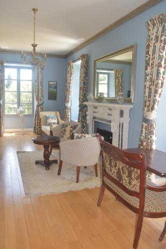 莫南Chateau Roquehort的客厅配有家具和壁炉