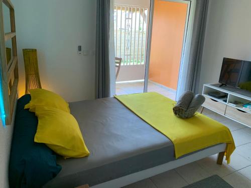卡宴Le nid du Kikiwi , refuge relaxant avec jardin的一间卧室配有一张带黄毯的床和一台电视