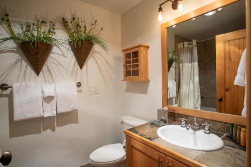 帕克城迪尔谷旅馆的一间带水槽、卫生间和镜子的浴室