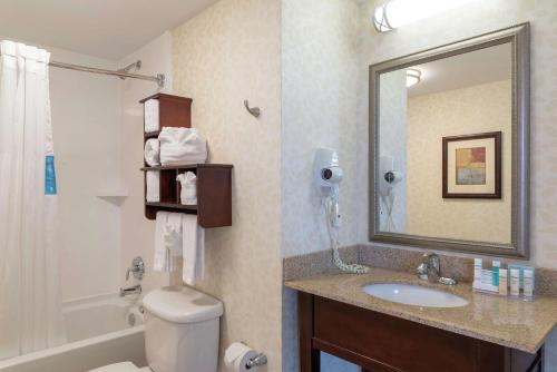 印第安纳波利斯印第安纳波利斯市中心希尔顿恒庭酒店（瑟科中心对面）的一间带卫生间、水槽和镜子的浴室