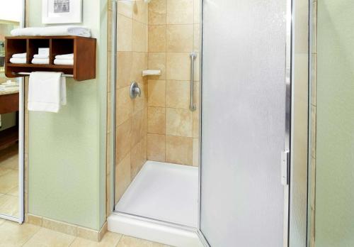 萨凡纳萨凡纳/市中心汉普顿酒店兼套房的浴室里设有玻璃门淋浴