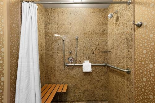 诺克斯维尔诺克斯维尔希尔顿酒店的带淋浴和浴帘的浴室