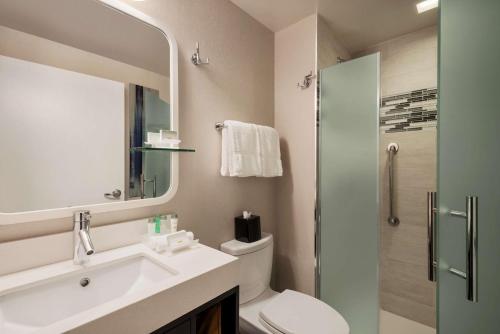 纽约曼哈顿中城时代广场南部惠庭套房酒店的一间带水槽、卫生间和镜子的浴室