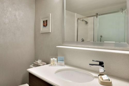 劳雷尔山费城月桂树山汉普顿酒店的一间带水槽和镜子的浴室