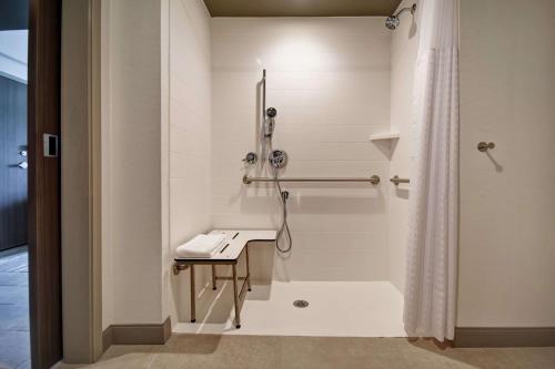 兰辛Hilton Garden Inn Lansing West的带淋浴和盥洗盆的白色浴室