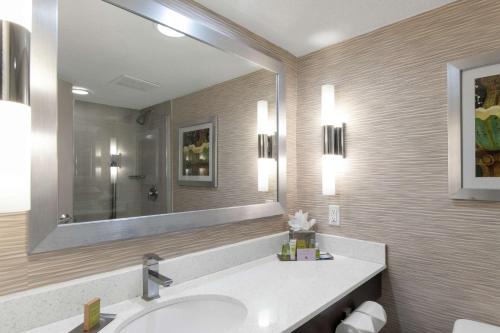 杰克逊维尔杰克逊维尔机场希尔顿逸林酒店的一间带水槽和大镜子的浴室