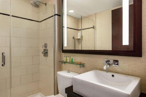 纽约DoubleTree by Hilton New York Downtown的一间带水槽、卫生间和淋浴的浴室
