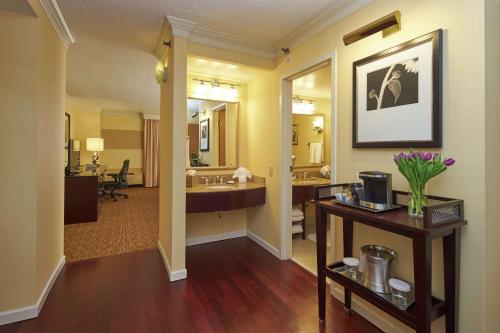 罗利罗利北山希尔顿酒店的酒店客房设有梳妆台和浴室。