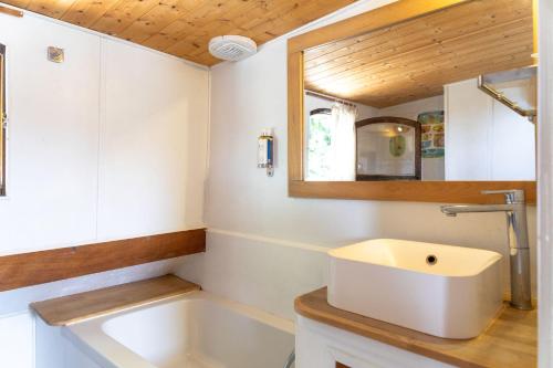 阿维尼翁奥尔西娅船屋的浴室设有白色水槽和镜子