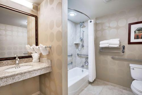 密尔沃基密尔沃基机场希尔顿花园酒店的一间带水槽、浴缸和卫生间的浴室