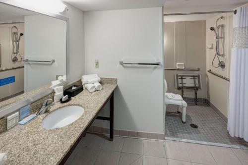 圣路易斯圣路易斯拱门希尔顿恒庭酒店的一间带水槽和淋浴的酒店浴室