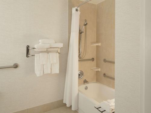 奥斯汀Hilton Garden Inn Austin Downtown-Convention Center的浴室配有浴缸、淋浴和毛巾。