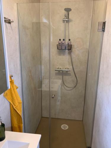维克Skammidalur cottages的浴室里设有玻璃门淋浴