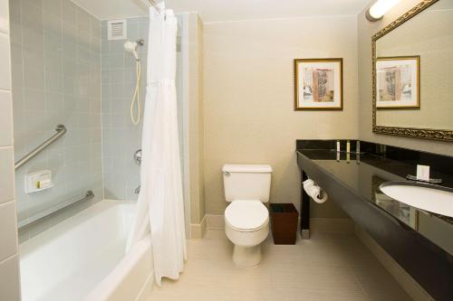 诺维DoubleTree by Hilton Hotel Detroit - Novi的浴室配有卫生间、浴缸和水槽。
