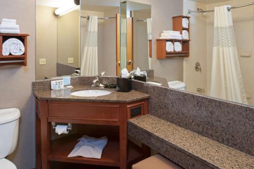 Muskegon Heights马斯基根希尔顿恒庭酒店的一间带水槽、卫生间和镜子的浴室