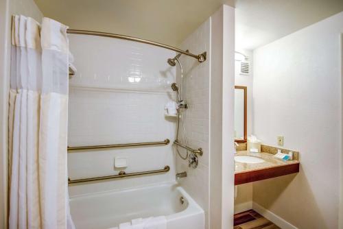 坦帕坦帕易勃尔历史区希尔顿花园酒店的带浴缸和盥洗盆的浴室