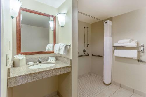 科洛尼尔海茨里士满南/南方公园希尔顿花园旅馆的一间带水槽和淋浴的浴室