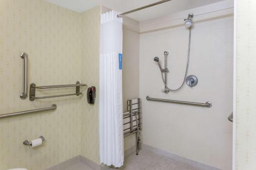里士满里士满南希尔顿恒庭酒店的带淋浴和卫生间的浴室
