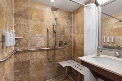 纽约曼哈顿/闹市区汉普顿旅馆 - 金融区的带淋浴和盥洗盆的浴室